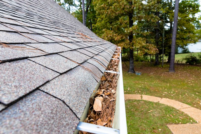 Gutter Pine Needle Removal in Longmont, CO